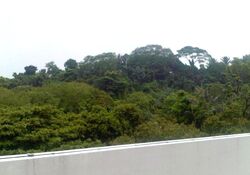 The Pearl @ Mount Faber (D4), Condominium #561300631